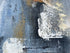 Porpoise Painting